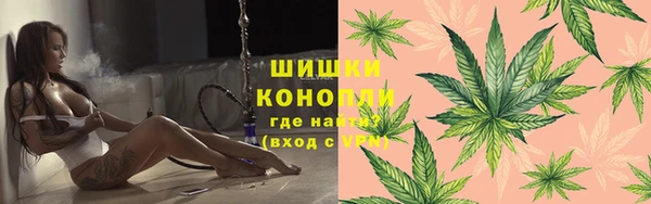 гидропоника Алзамай