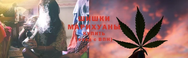 гидропоника Алзамай