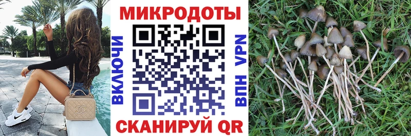 Псилоцибиновые грибы ЛСД  Кизел 